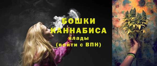 spice Абинск