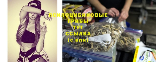 сатива Алексеевка