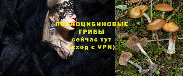 spice Абинск
