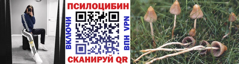 OMG онион  где можно купить наркотик  площадка как зайти  Псилоцибиновые грибы ЛСД  Сертолово 